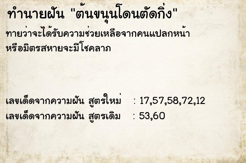 ทำนายฝันต้นขนุนโดนตัดกิ่ง ทำนายฝันทำนายฝันต้นขนุนโดนตัดกิ่ง