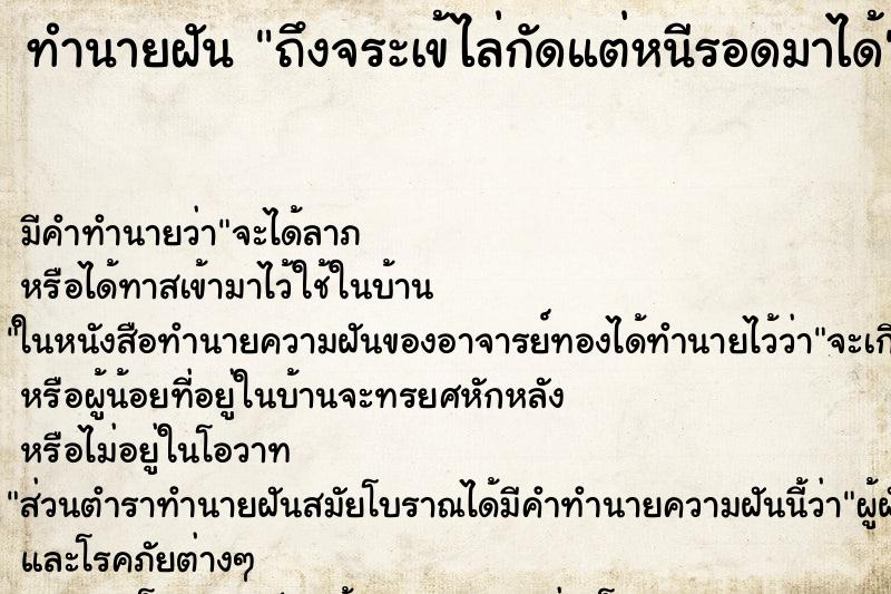 ทำนายฝันถึงจระเข้ไล่กัดแต่หนีรอดมาได้ ทำนายฝันทำนายฝันถึงจระเข้ไล่กัดแต่หนีรอดมาได้