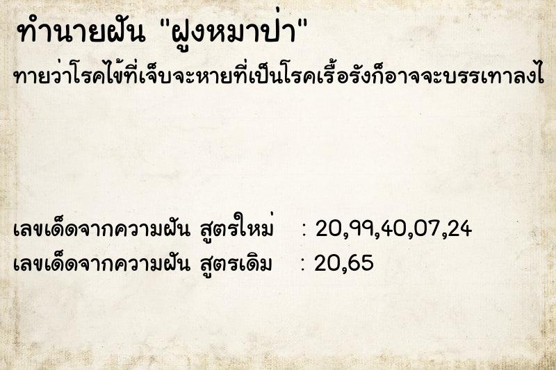 ทำนายฝัน ฝูงหมาป่า ทำนายฝัน ฝูงหมาป่า