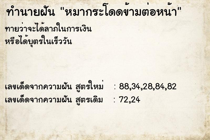 ทำนายฝันหมากระโดดข้ามต่อหน้า ทำนายฝันทำนายฝันหมากระโดดข้ามต่อหน้า