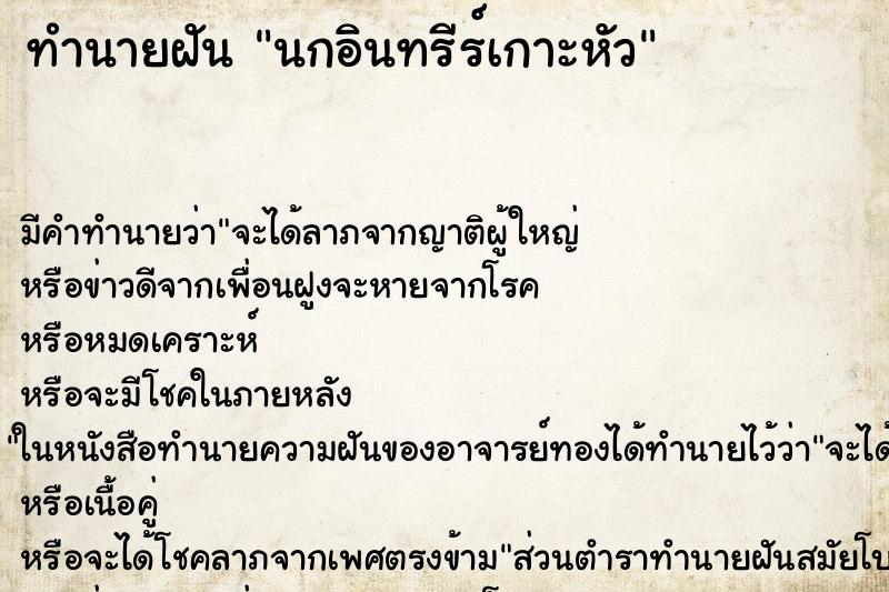 ทำนายฝัน นกอินทรีร์เกาะหัว