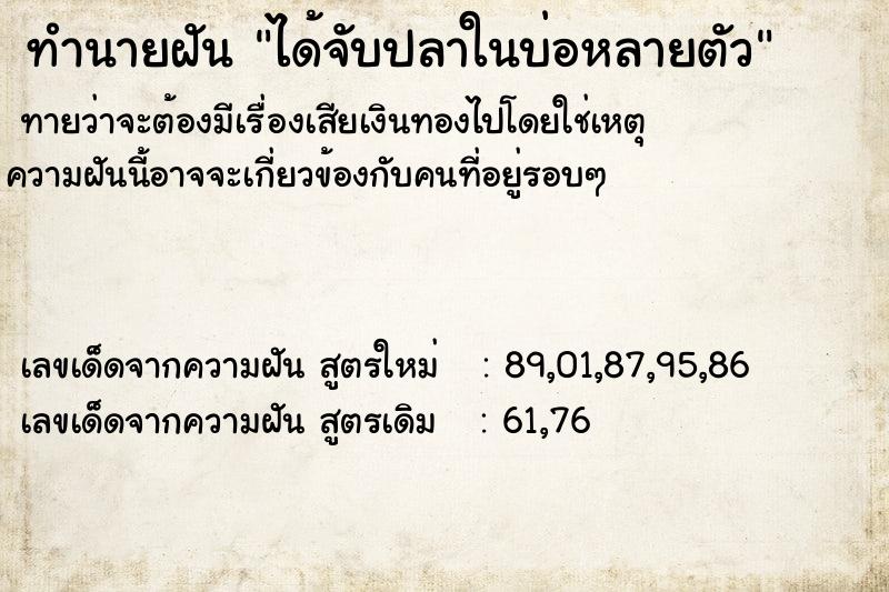 ทำนายฝัน ได้จับปลาในบ่อหลายตัว ทำนายฝัน ได้จับปลาในบ่อหลายตัว