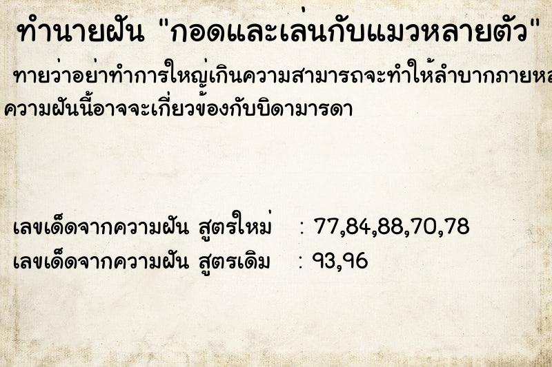 ทำนายฝันกอดและเล่นกับแมวหลายตัว ทำนายฝันทำนายฝันกอดและเล่นกับแมวหลายตัว