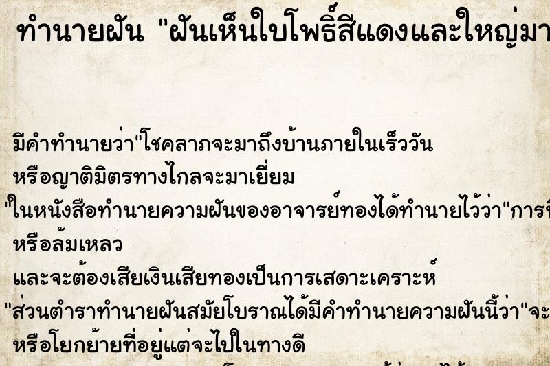 ทำนายฝัน ฝันเห็นใบโพธิ์สีแดงและใหญ่มาก ทำนายฝัน ฝันเห็นใบโพธิ์สีแดงและใหญ่มาก