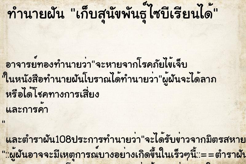 ทำนายฝันทำนายฝันเก็บสุนัขพันธุ์ไซบีเรียนได้