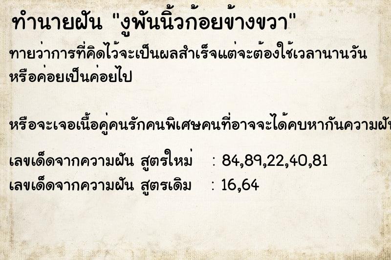 ทำนายฝันงูพันนิ้วก้อยข้างขวา ทำนายฝันทำนายฝันงูพันนิ้วก้อยข้างขวา