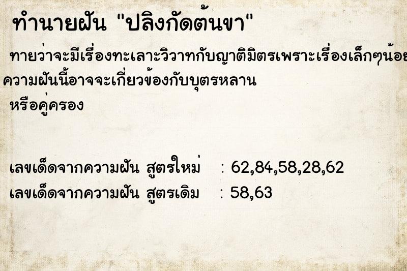 ทำนายฝันปลิงกัดต้นขา ทำนายฝันทำนายฝันปลิงกัดต้นขา