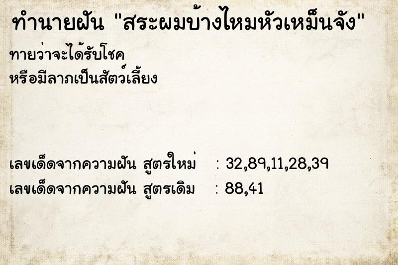 ทำนายฝันสระผมบ้างไหมหัวเหม็นจัง ทำนายฝันทำนายฝันสระผมบ้างไหมหัวเหม็นจัง