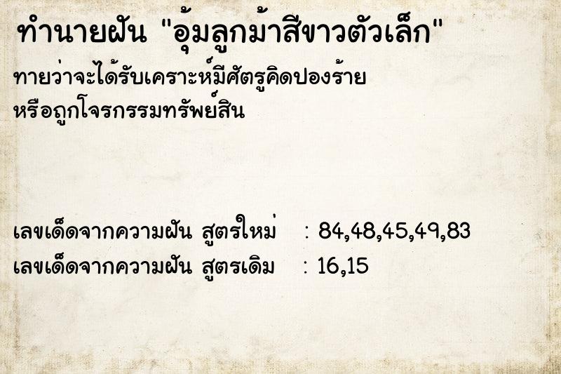 ทำนายฝันอุ้มลูกม้าสีขาวตัวเล็ก ทำนายฝันทำนายฝันอุ้มลูกม้าสีขาวตัวเล็ก