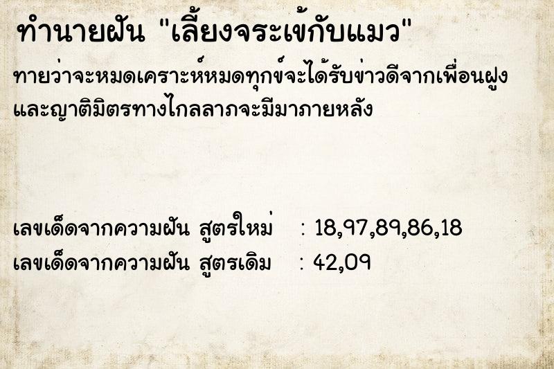 ทำนายฝันทำนายฝันเลี้ยงจระเข้กับแมว