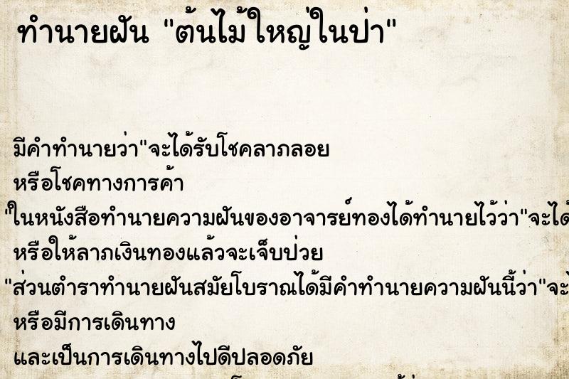 ทำนายฝันต้นไม้ใหญ่ในป่า ทำนายฝันทำนายฝันต้นไม้ใหญ่ในป่า