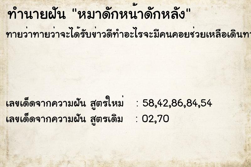 ทำนายฝันหมาดักหน้าดักหลัง ทำนายฝันทำนายฝันหมาดักหน้าดักหลัง
