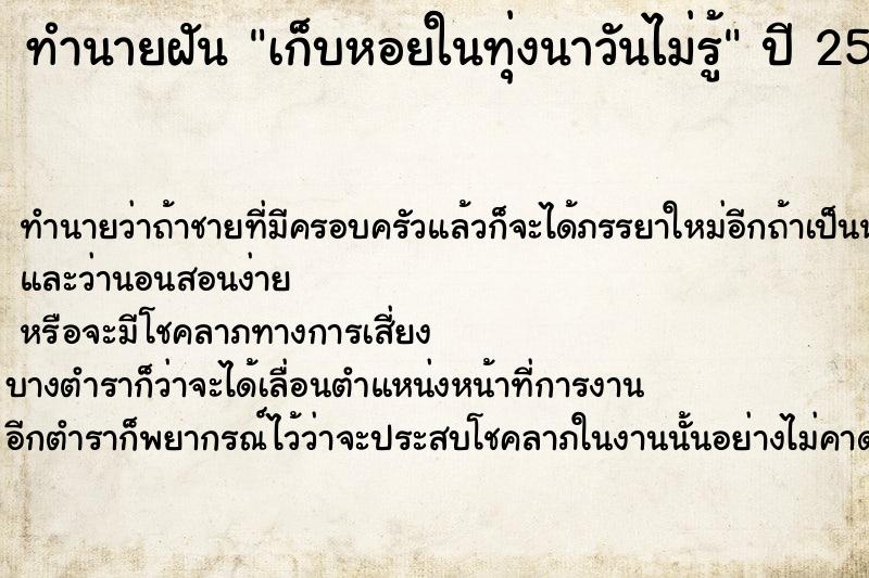 ทำนายฝันเก็บหอยในทุ่งนาวันไม่รู้ ทำนายฝันทำนายฝันเก็บหอยในทุ่งนาวันไม่รู้