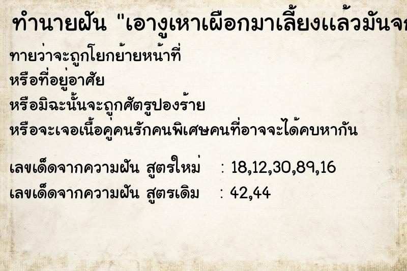 ทำนายฝันเอางูเหาเผือกมาเลี้ยงเเล้วมันจก ทำนายฝันทำนายฝันเอางูเหาเผือกมาเลี้ยงเเล้วมันจก