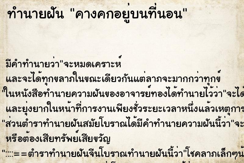 ทำนายฝันคางคกอยู่บนที่นอน ทำนายฝันทำนายฝันคางคกอยู่บนที่นอน
