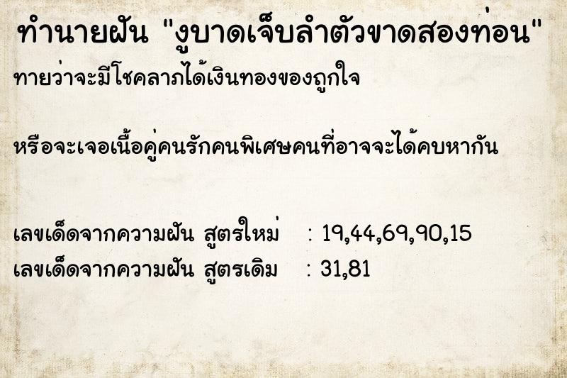 ทำนายฝัน งูบาดเจ็บลำตัวขาดสองท่อน ทำนายฝัน งูบาดเจ็บลำตัวขาดสองท่อน
