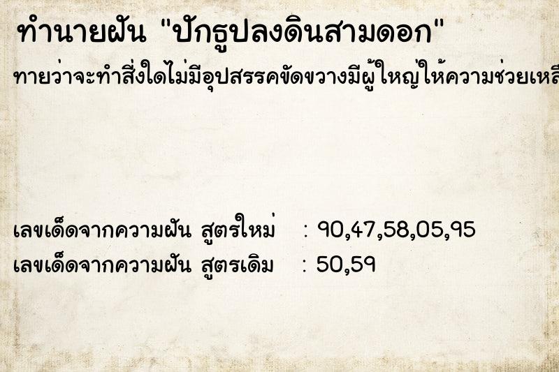 ทำนายฝันทำนายฝันปักธูปลงดินสามดอก