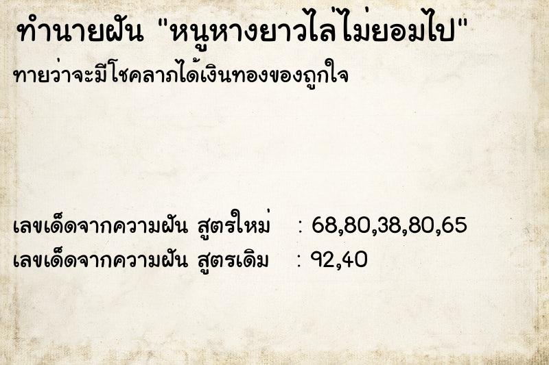 ทำนายฝันหนูหางยาวไล่ไม่ยอมไป ทำนายฝันทำนายฝันหนูหางยาวไล่ไม่ยอมไป