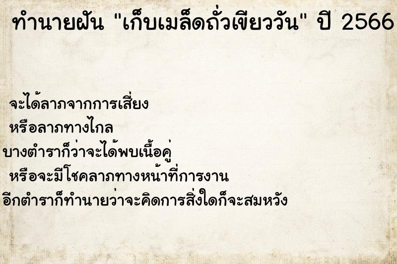 ทำนายฝันทำนายฝันเก็บเมล็ดถั่วเขียววัน