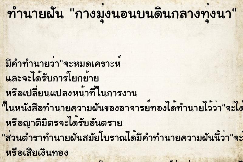 ทำนายฝันทำนายฝันกางมุ่งนอนบนดินกลางทุ่งนา