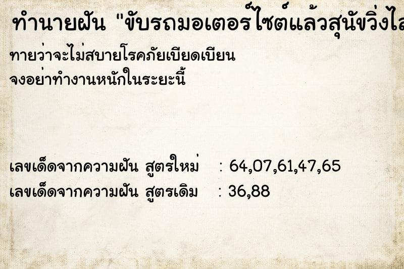 ทำนายฝันขับรถมอเตอร์ไซต์แล้วสุนัขวิ่งไล่กัด ทำนายฝันทำนายฝันขับรถมอเตอร์ไซต์แล้วสุนัขวิ่งไล่กัด