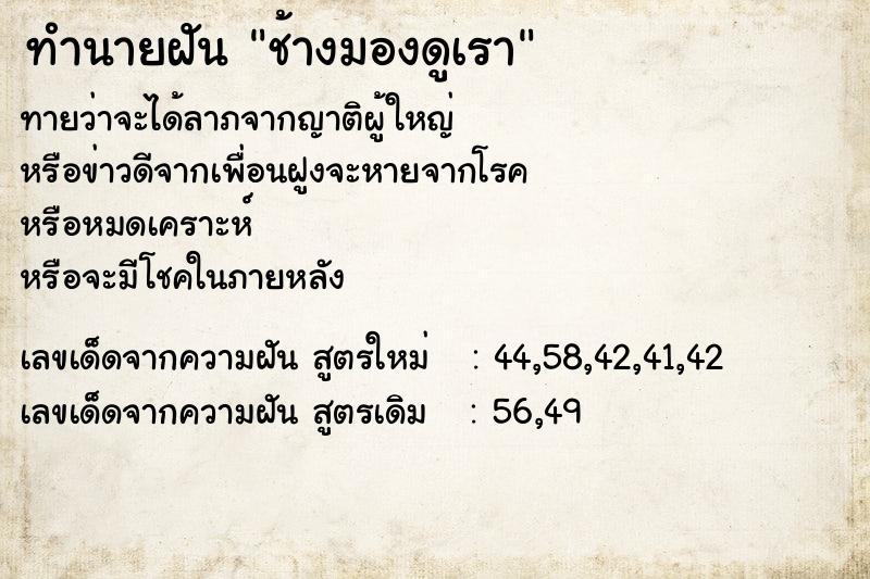 ทำนายฝันช้างมองดูเรา ทำนายฝันทำนายฝันช้างมองดูเรา