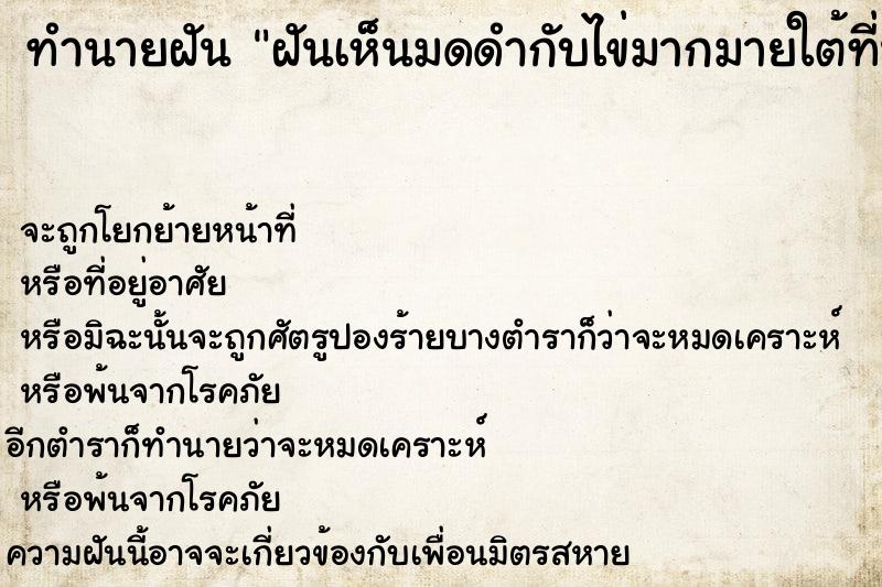 ทำนายฝันฝันเห็นมดดำกับไข่มากมายใต้ที่นอน ทำนายฝันทำนายฝันฝันเห็นมดดำกับไข่มากมายใต้ที่นอน