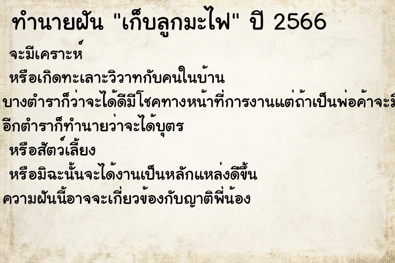 ทำนายฝันเก็บลูกมะไฟ ทำนายฝันทำนายฝันเก็บลูกมะไฟ