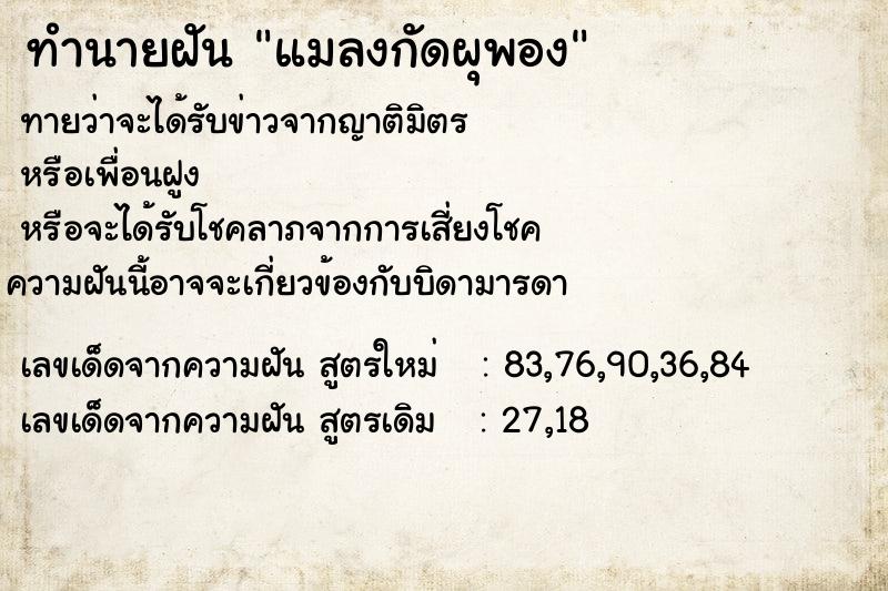 ทำนายฝันทำนายฝันแมลงกัดผุพอง