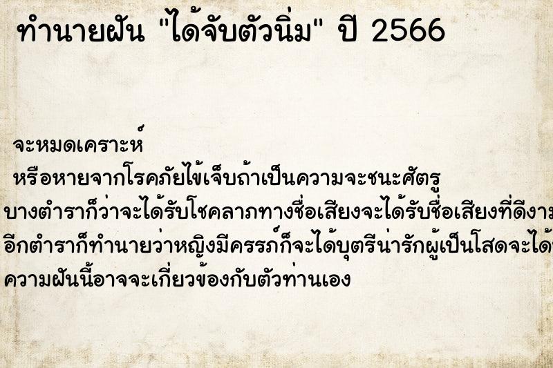 ทำนายฝันทำนายฝันได้จับตัวนิ่ม