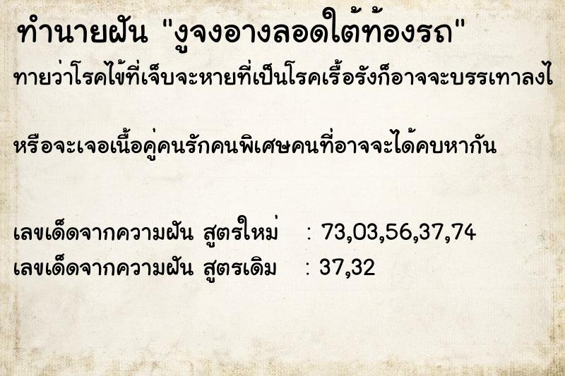 ทำนายฝันงูจงอางลอดใต้ท้องรถ ทำนายฝันทำนายฝันงูจงอางลอดใต้ท้องรถ