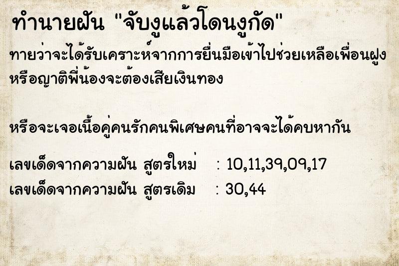 ทำนายฝัน จับงูแล้วโดนงูกัด ทำนายฝัน จับงูแล้วโดนงูกัด