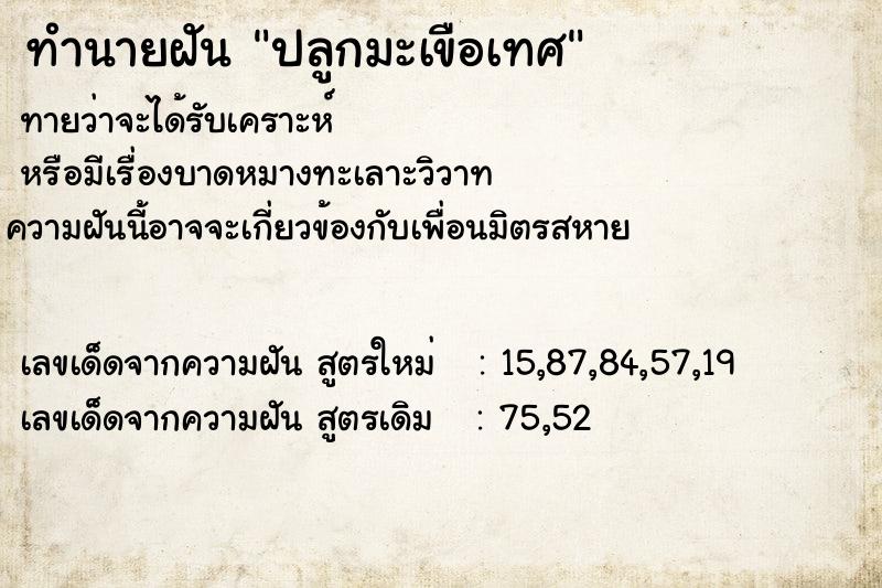 ทำนายฝันทำนายฝันปลูกมะเขือเทศ