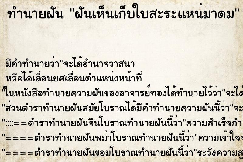 ทำนายฝัน ฝันเห็นเก็บใบสะระแหน่มาดม ทำนายฝัน ฝันเห็นเก็บใบสะระแหน่มาดม