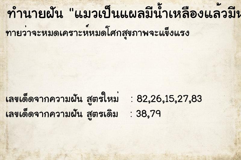 ทำนายฝันแมวเป็นแผลมีน้ำเหลืองแล้วมีหนอน ทำนายฝันทำนายฝันแมวเป็นแผลมีน้ำเหลืองแล้วมีหนอน