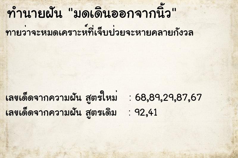 ทำนายฝันมดเดินออกจากนิ้ว ทำนายฝันทำนายฝันมดเดินออกจากนิ้ว