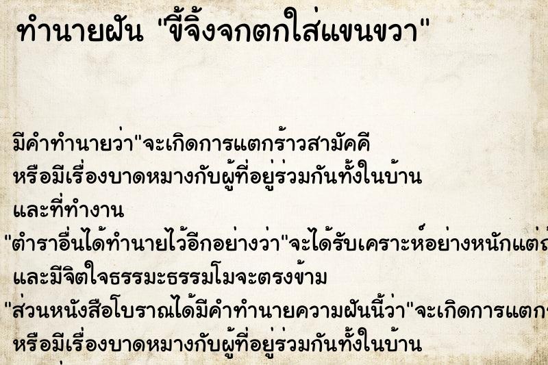 ทำนายฝัน ขี้จิ้งจกตกใส่แขนขวา ทำนายฝัน ขี้จิ้งจกตกใส่แขนขวา