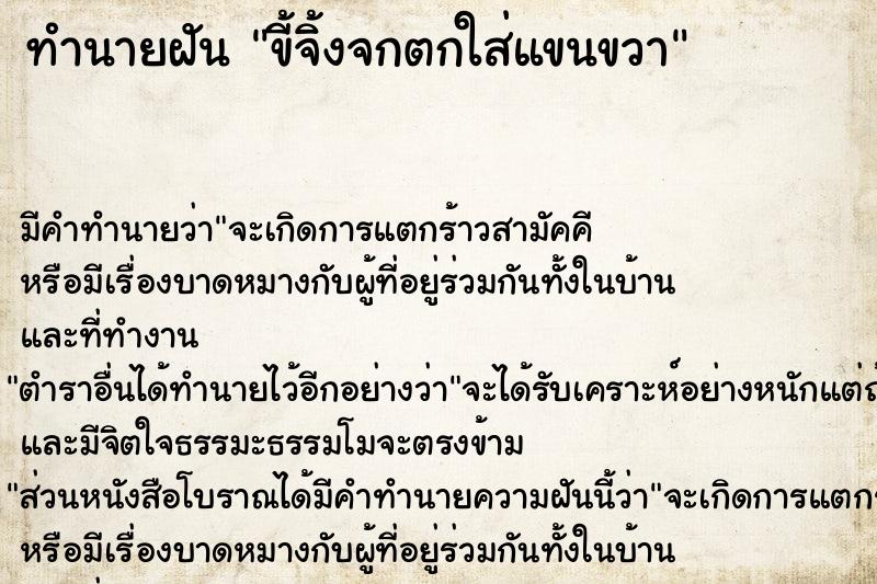 ทำนายฝัน ขี้จิ้งจกตกใส่แขนขวา ตำราโบราณ แม่นที่สุดในโลก