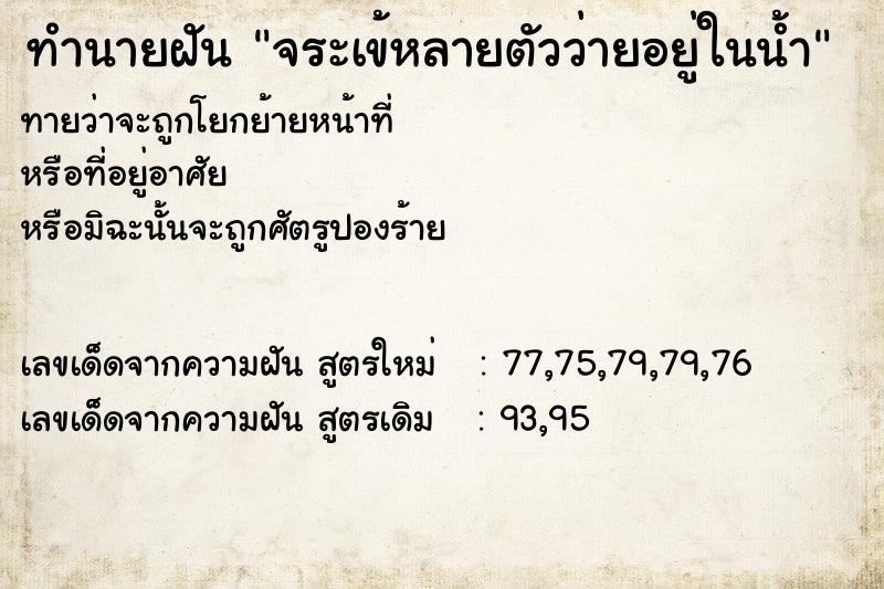 ทำนายฝันจระเข้หลายตัวว่ายอยู่ในน้ำ ทำนายฝันทำนายฝันจระเข้หลายตัวว่ายอยู่ในน้ำ