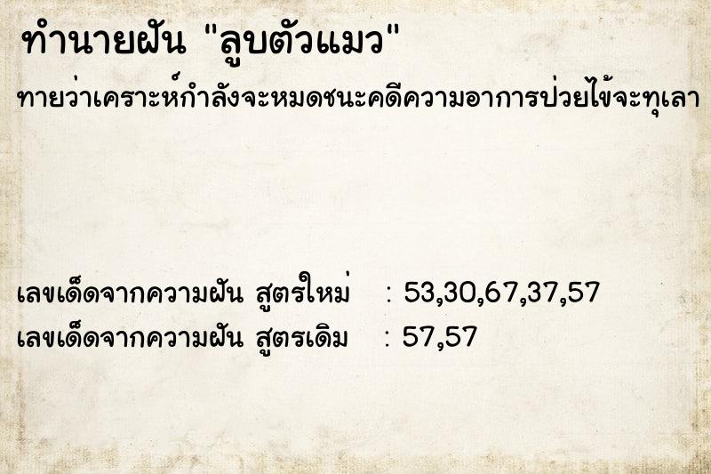 ทำนายฝันทำนายฝันลูบตัวแมว