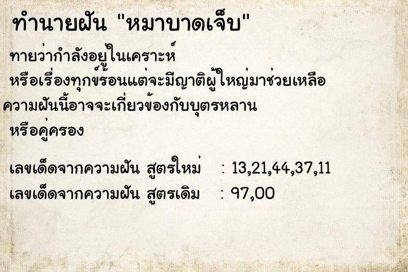 ทำนายฝันทำนายฝันหมาบาดเจ็บ