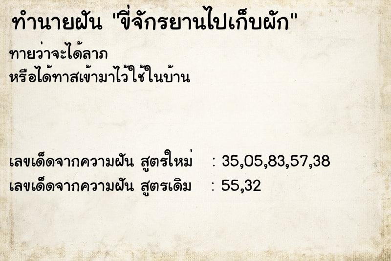 ทำนายฝันขี่จักรยานไปเก็บผัก ทำนายฝันทำนายฝันขี่จักรยานไปเก็บผัก