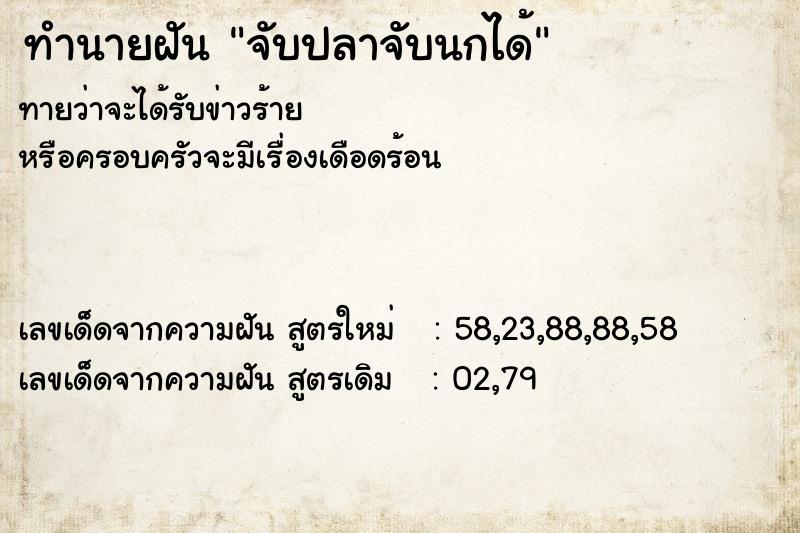 ทำนายฝันจับปลาจับนกได้ ทำนายฝันทำนายฝันจับปลาจับนกได้