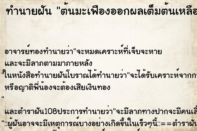 ทำนายฝัน ต้นมะเฟืองออกผลเต็มต้นเหลืองสุกสวยงาม ทำนายฝัน ต้นมะเฟืองออกผลเต็มต้นเหลืองสุกสวยงาม