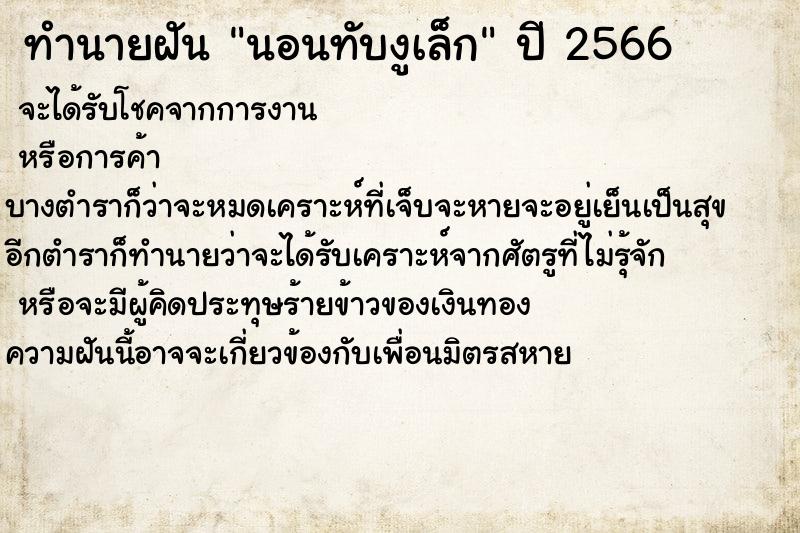 ทำนายฝัน นอนทับงูเล็ก ทำนายฝัน นอนทับงูเล็ก