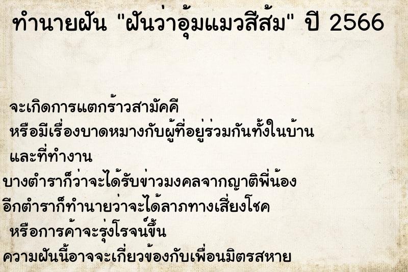 ทำนายฝัน ฝันว่าอุ้มแมวสีส้ม ทำนายฝัน ฝันว่าอุ้มแมวสีส้ม