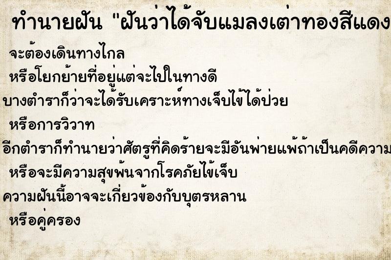 ทำนายฝันทำนายฝันฝันว่าได้จับแมลงเต่าทองสีแดง