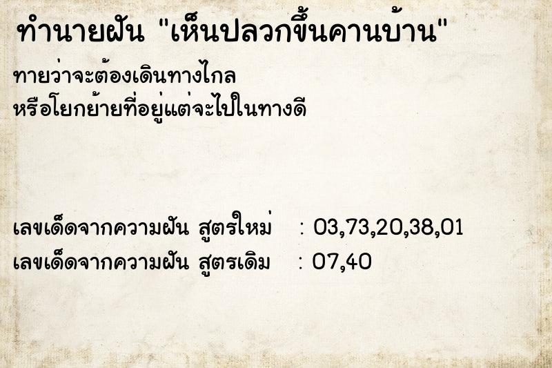 ทำนายฝัน เห็นปลวกขึ้นคานบ้าน ทำนายฝัน เห็นปลวกขึ้นคานบ้าน