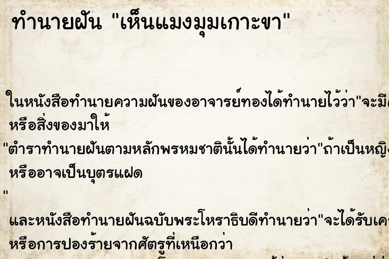 ทำนายฝัน เห็นแมงมุมเกาะขา