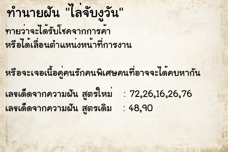 ทำนายฝันทำนายฝันไล่จับงูวัน